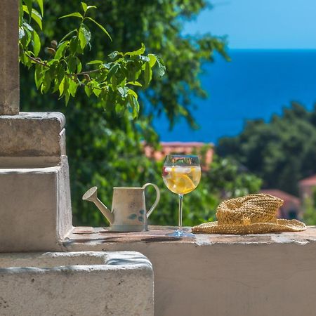 Villa Flores Garden Dubrovnik Eksteriør bilde