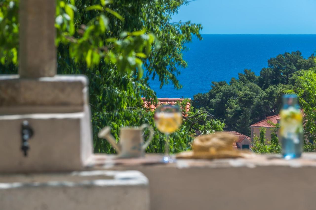 Villa Flores Garden Dubrovnik Eksteriør bilde